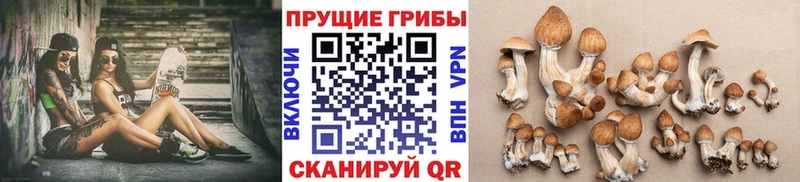 мега как зайти Шацк Псилоцибиновые грибы прущие грибы дарнет шоп